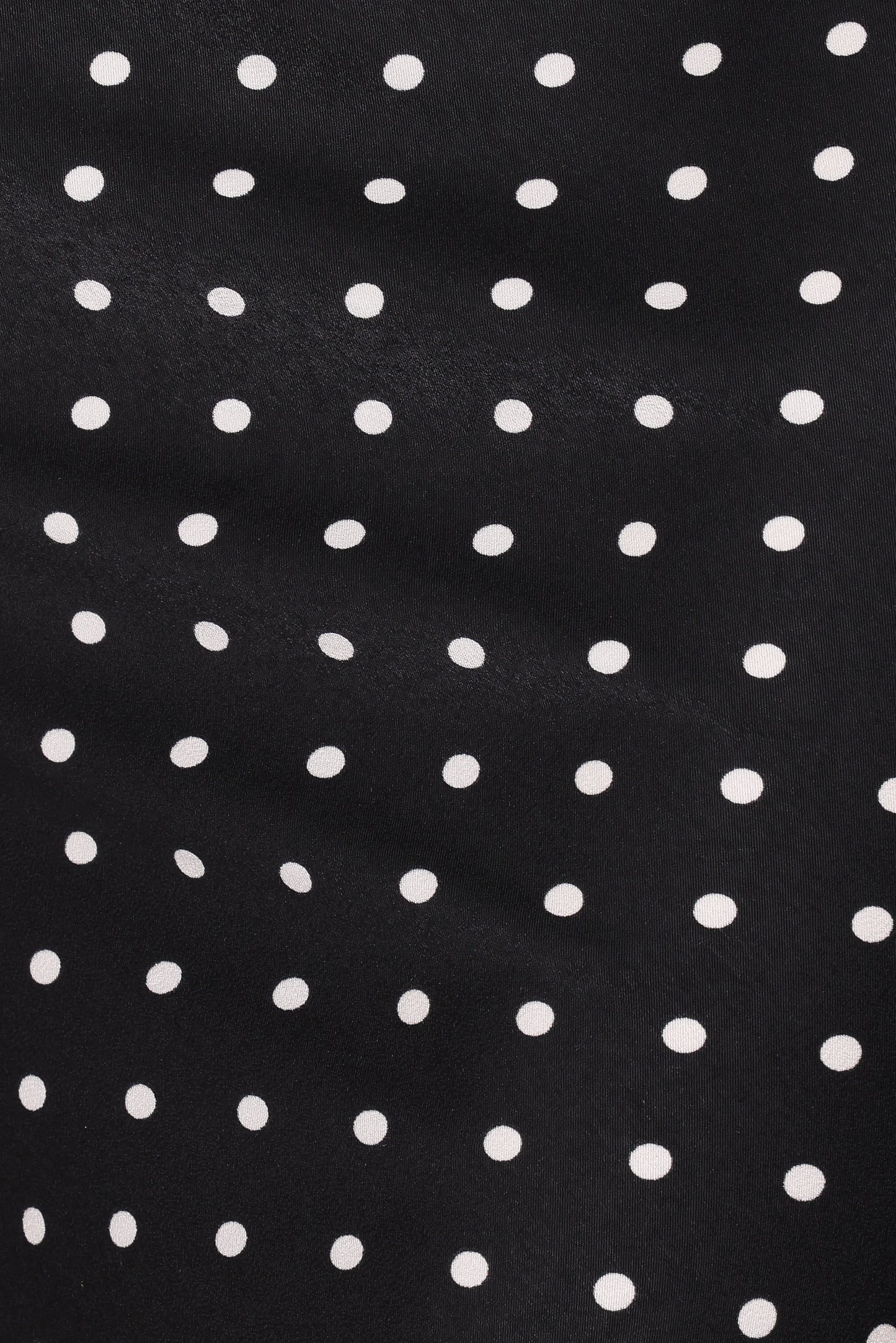 Ailbhe Lace Skirt - Black Polka Dot