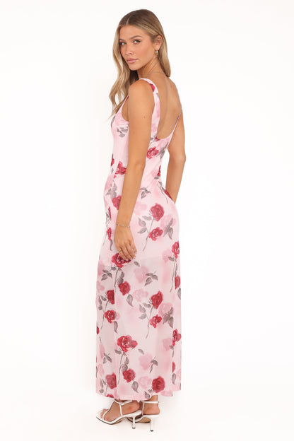 Brissa Maxi Dress - Pink Floral