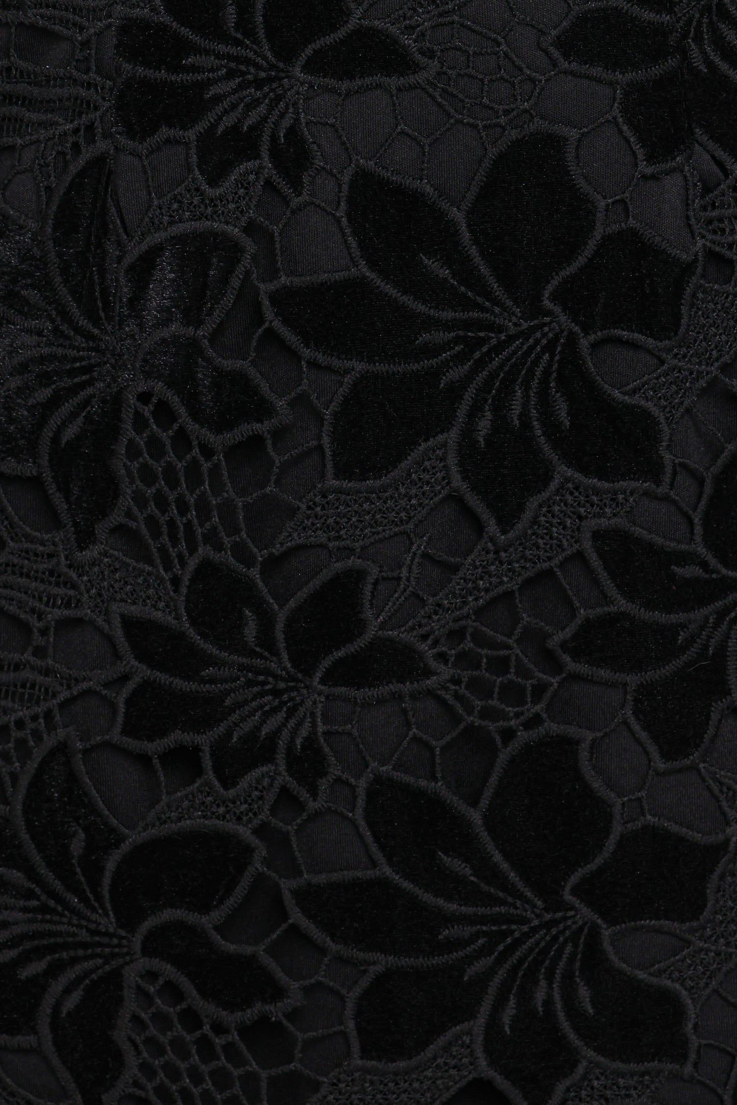Cynthia Velvet Lace Mini Dress - Black