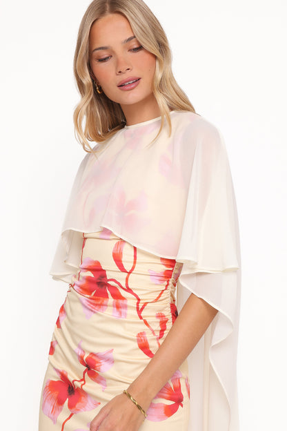Tamzyn Maxi Dress - Pink Floral
