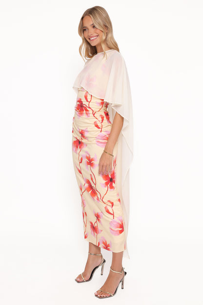 Tamzyn Maxi Dress - Pink Floral
